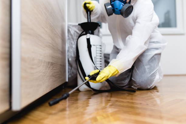 Best Pest Inspection Near Me  in Canton, MS