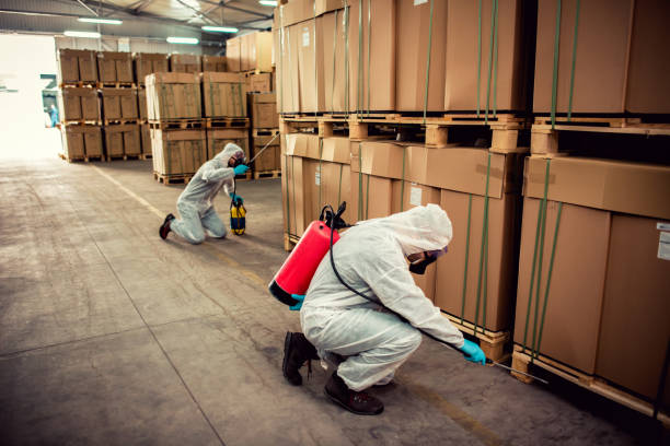 Best Affordable Pest Control Services  in Canton, MS