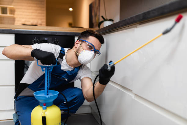 Flea Control Services in Canton, MS