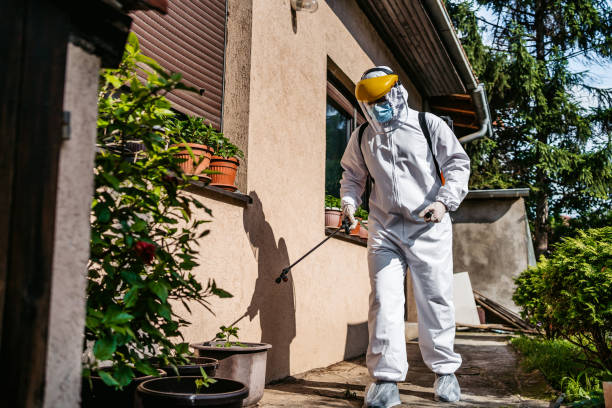 Best Residential Pest Control  in Canton, MS
