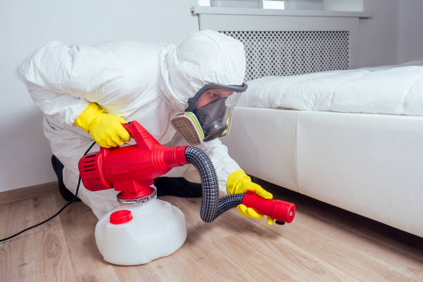 Reliable Canton, MS Pest Control Solutions